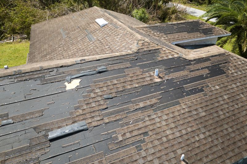 Shingle Replacement